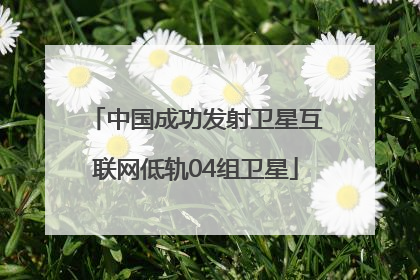 中国成功发射卫星互联网低轨04组卫星